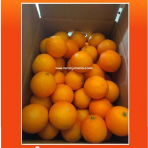 Caja 5kg naranjas de zumo