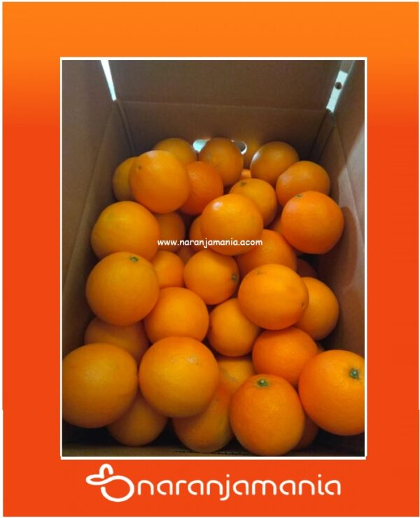 Caja 5kg naranjas de zumo