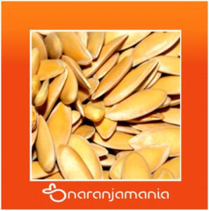 Propiedades de las semillas del melón