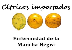 Cuidado con lo que compras