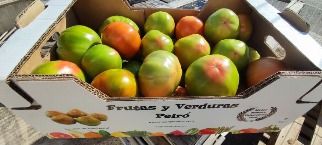 Estos son los beneficios de comer tomate todos los días